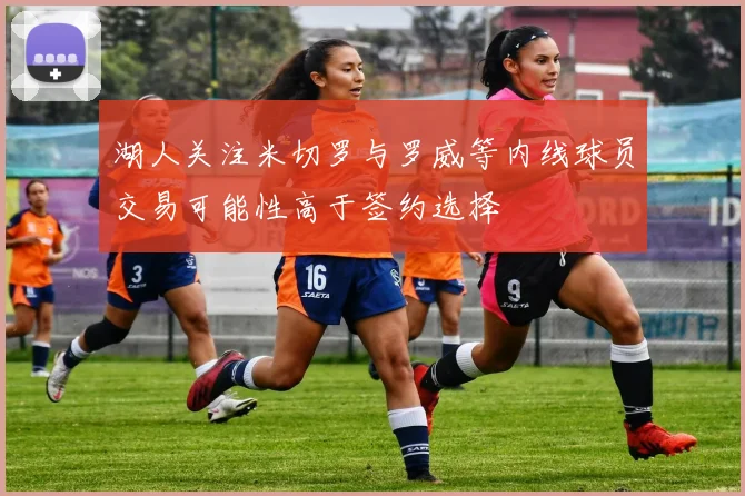 湖人关注米切罗与罗威等内线球员交易可能性高于签约选择